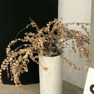 Furry绘画色彩技巧福瑞交流群